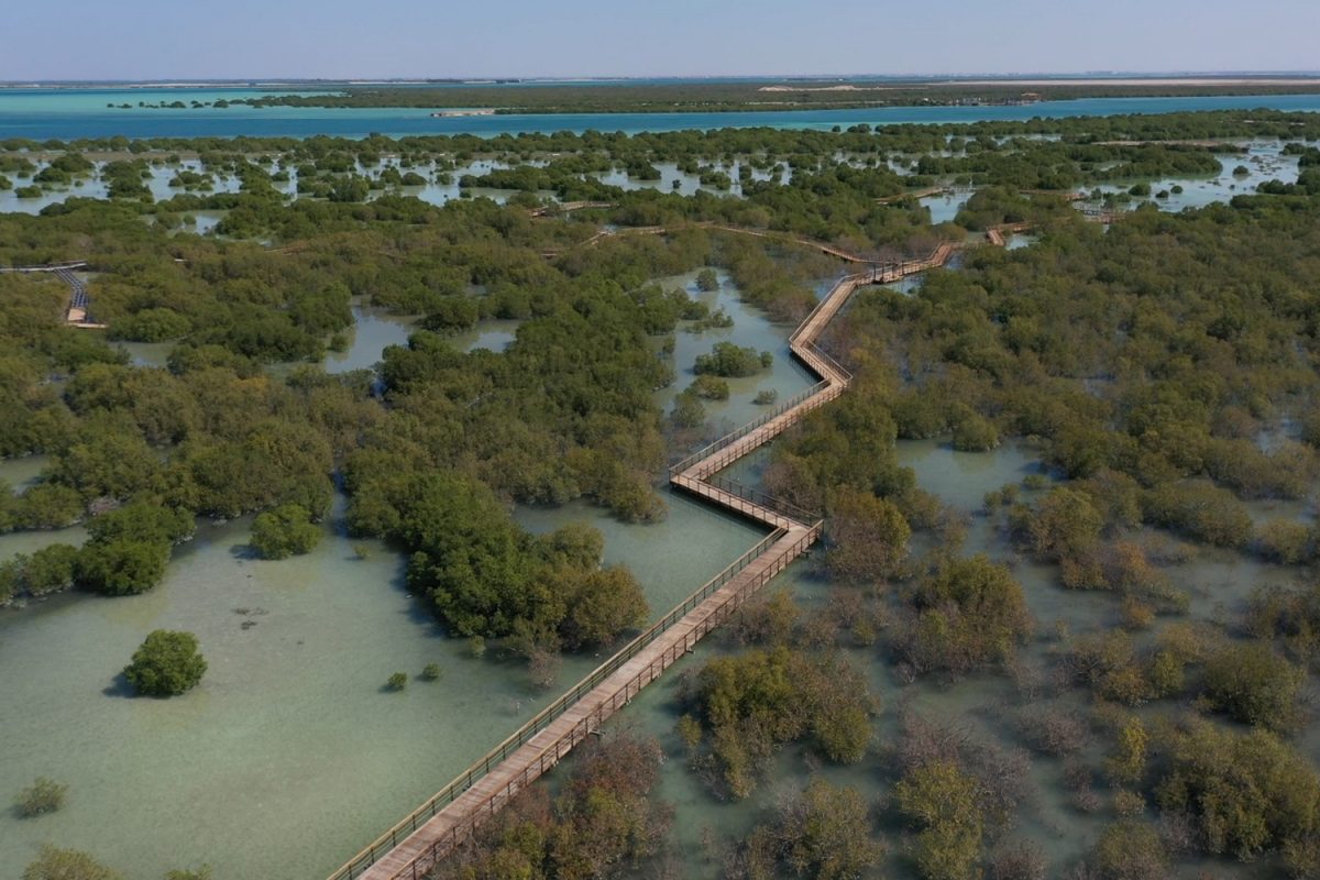 Jubail Mangrove Park