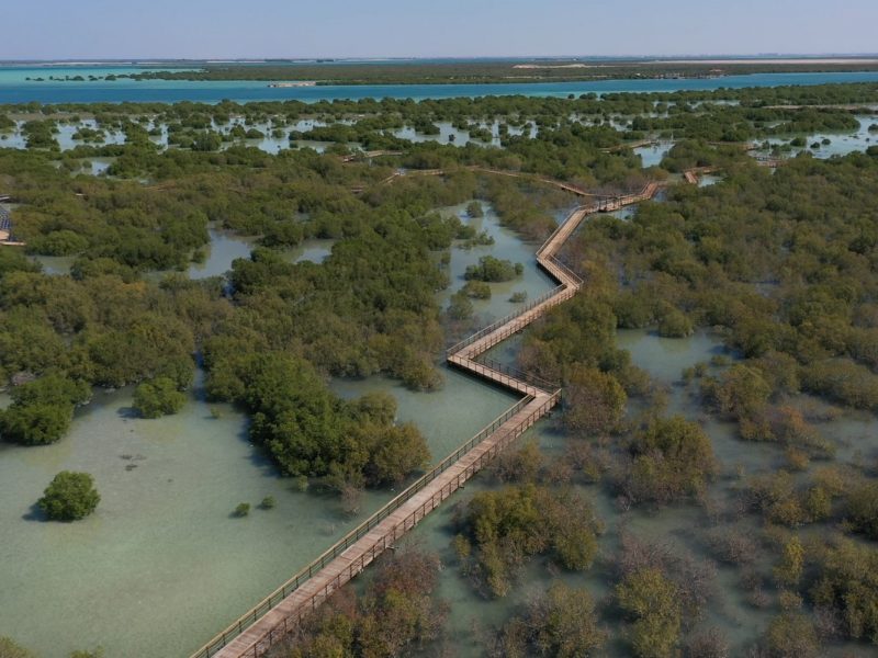 Jubail Mangrove Park