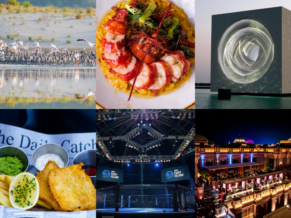 Best things to do this weekend in Abu Dhabi