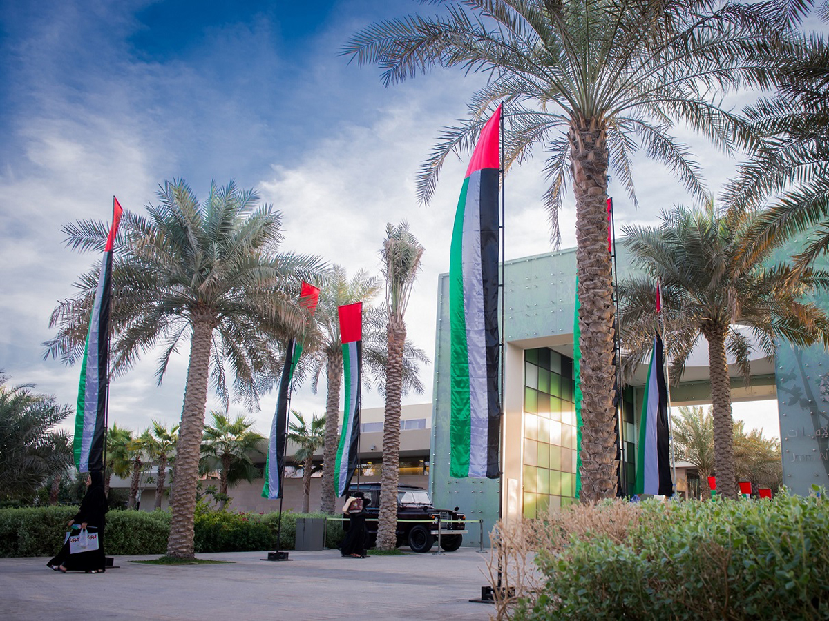 UAE face mask rules: UAE flags