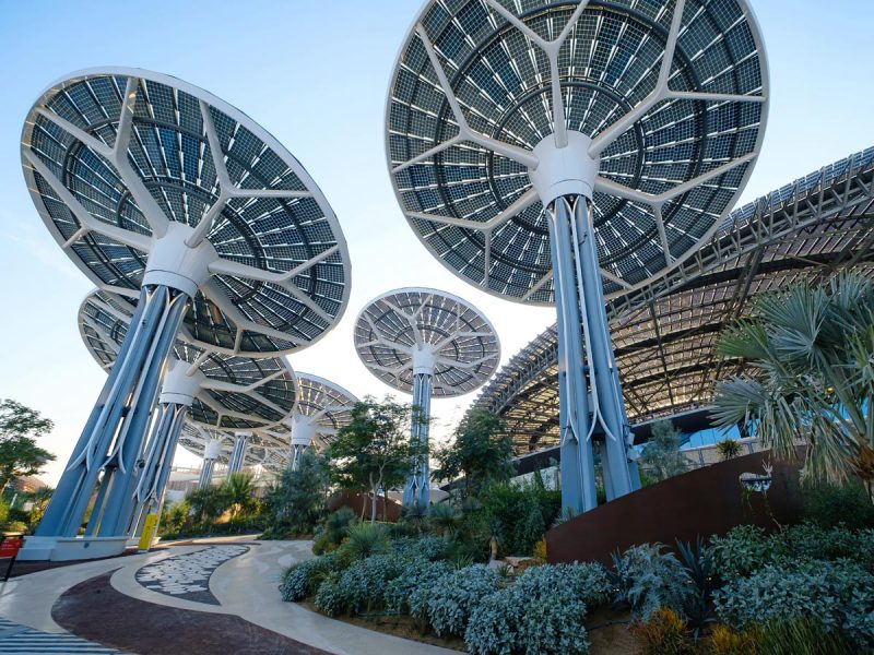 Expo 2020 Dubai: Exterior and trees at Sustainability Pavilion