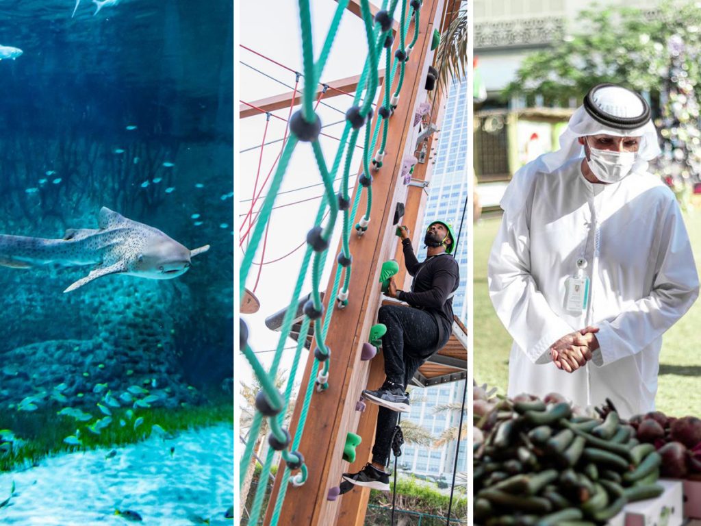 10 Fantastic Things To Do This Weekend In Abu Dhabi | Time Out Abu Dhabi