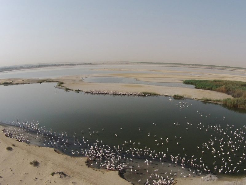 Al Wathba Lakes