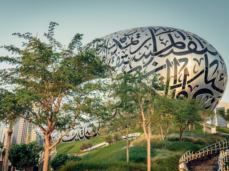 Museum of the Future Garden: trees and exterior building with steps