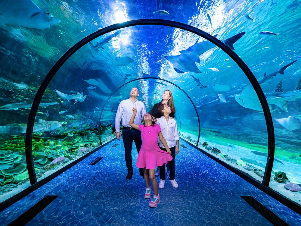 National Aquarium Abu Dhabi: Everything you need to know before you go ...