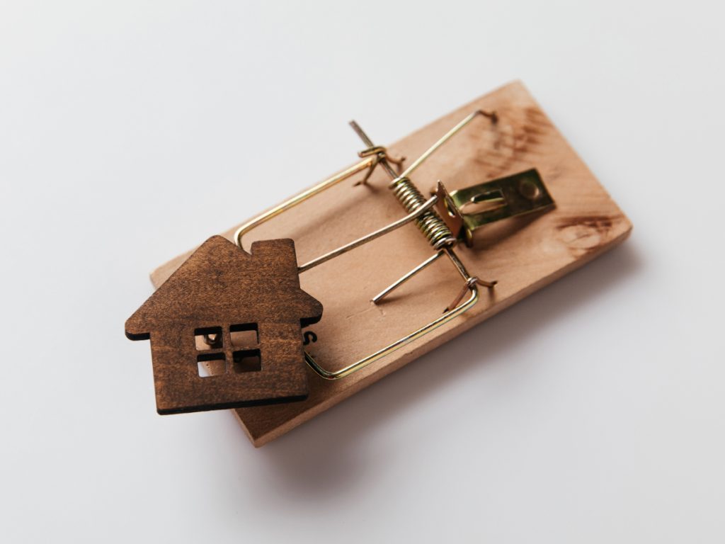 Rat trap with a small wooden house on it