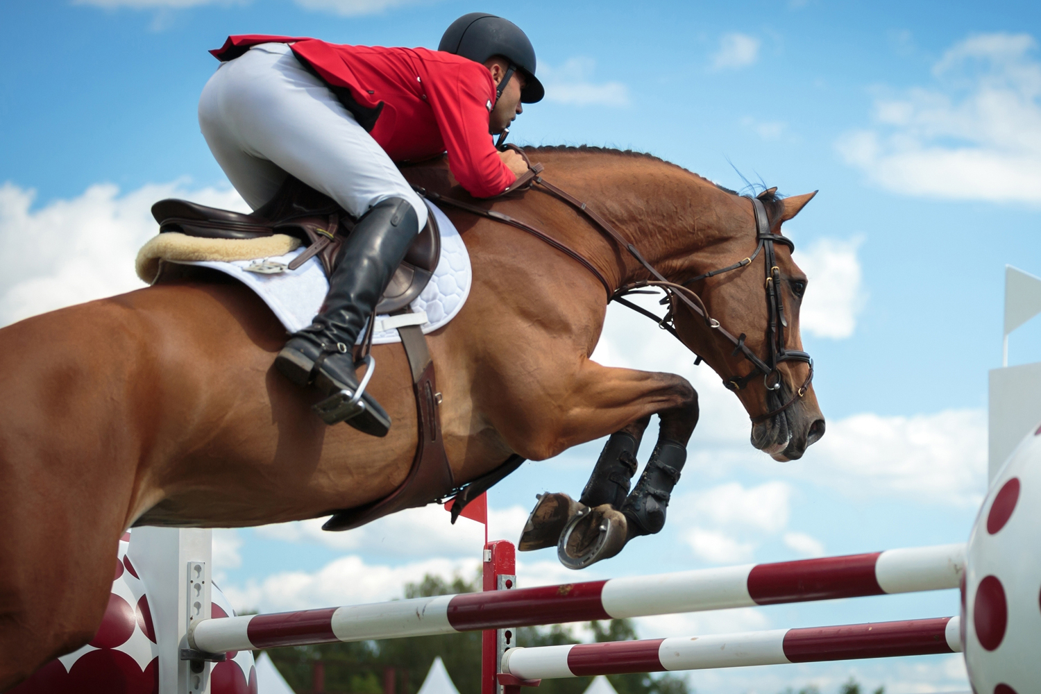 Best Places To Try Horse Riding In The UAE Sport Wellbeing Time 